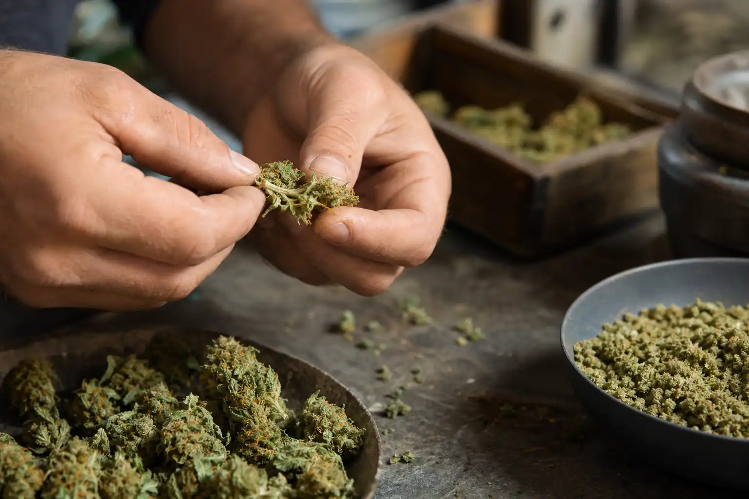 Des mains manipulent un objet, autour de cbd usages formats, dans un atelier.